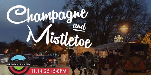 Champagne & Mistletoe