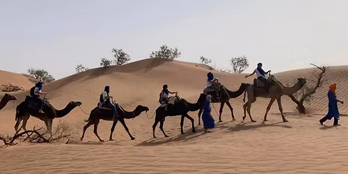 Cap D\u00e9sert & Dromadaires \u00c9dition 8