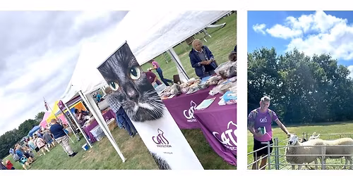 Summer Fete!