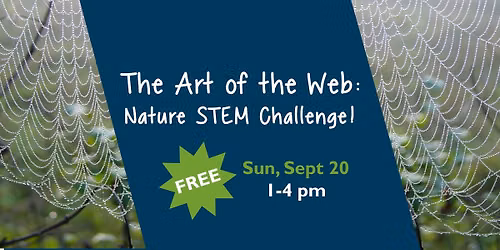 The Art of the Web: Nature STEM Challenge!