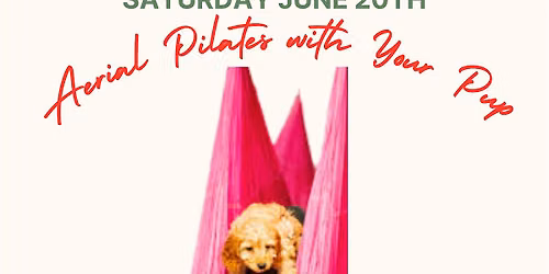 Pup Pilates in the Air!  Under 20 pounds ONLY