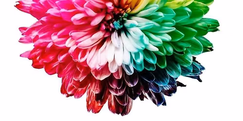 Et si on harmonisait nos chakras ( parcours de 7 soir\u00e9es) \/ 7 places dispos