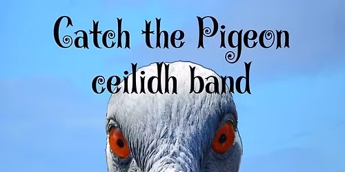 Ceilidh