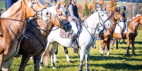 48. Unterinntaler Fuchsjagd in W\u00f6rgl