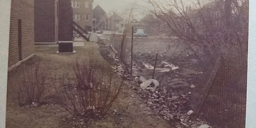 50 YEARS OF NEIGHBORHOOD COMMONS
