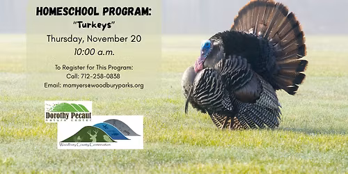 Homeschool: Turkeys