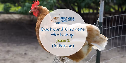 Backyard Chickens Workshop (In Person)