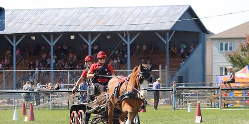 LEX Carriage Derby Show