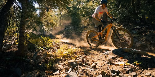 Alexandria, VA | Ninja Mountain Bike Clinics