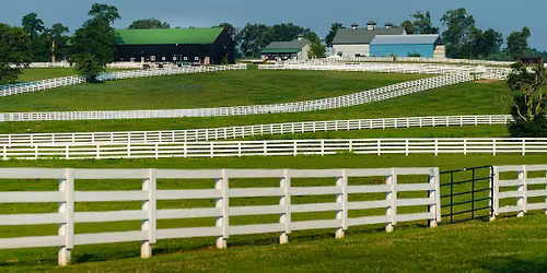 International Symposium on Equine Embryo Transfer and Technology