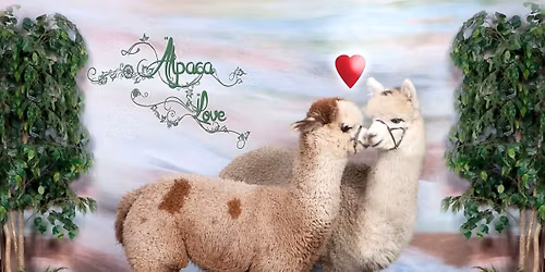 2026 MOPACA Double Alpaca Show