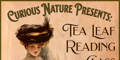 [SOLD OUT] Tea Leaf Reading Class