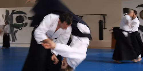 Semin\u00e1\u0159 aikid\u00f3: Zdenko Reguli (6. dan)