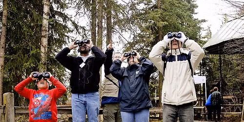 FULL - Bicentennial Birding