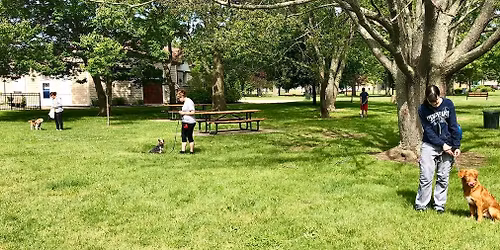 Refined Canines in the REAL WORLD - Milford CT