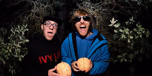 Yheti b2b Toadface