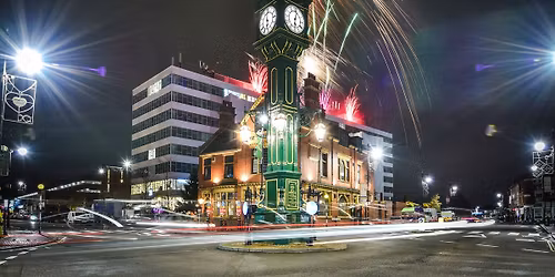 10th Annual Christmas Light Switch On