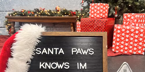 Santa Paws Pictures 
