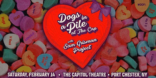 Dogs In A Pile w\/ Sam Grisman Project