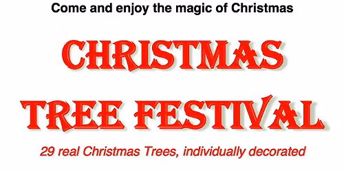 Stoke Fleming Christmas Tree Festival