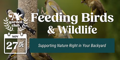 Garden Club: Feeding Birds & Wildlife