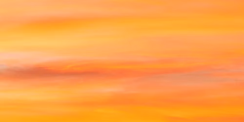 Sunset Social
