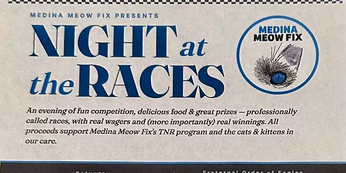 Night at the Races