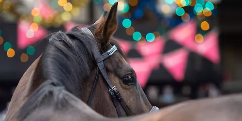 Flutterby Fund IN Hand Christmas Show