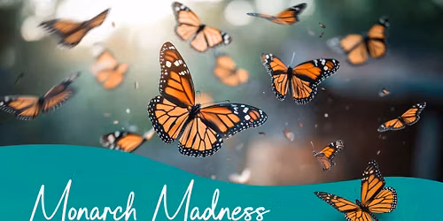 Monarch Madness