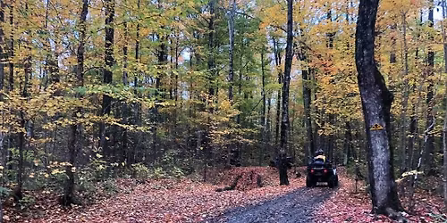 Rolling in the Season