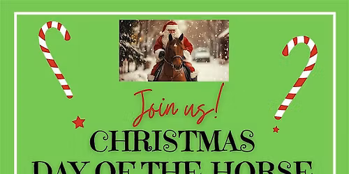 Christmas Day of the Horse Play Day