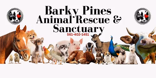 Animal Companion Loss and Grief Support Group