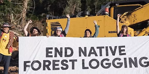 Non-violent direct action (NVDA) training 
