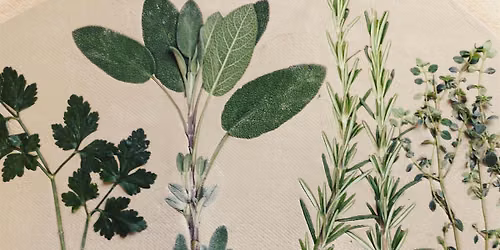 Botanical Clay Printed Plates