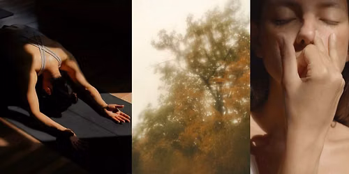 The Autumn Reset
