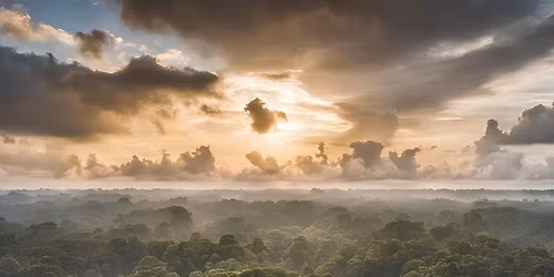 Eine Runde im Regenwald