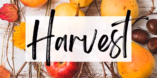 Harvest Fall Fundraiser 2025