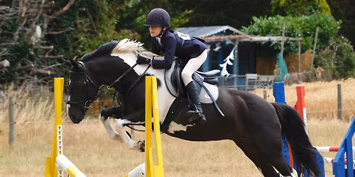 Novice Show, Dog Show and Equine Car Boot Sale