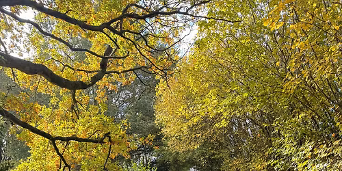 Parish Council Meeting