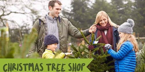 Real Christmas Trees at QECP