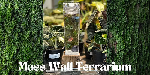 Moss wall Terrarium