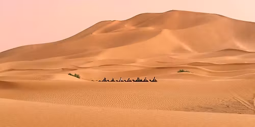 Oud & Nieuw in de Woestijn \u2013 Een Familieavontuur om Nooit te Vergeten! \ud83c\udf1f