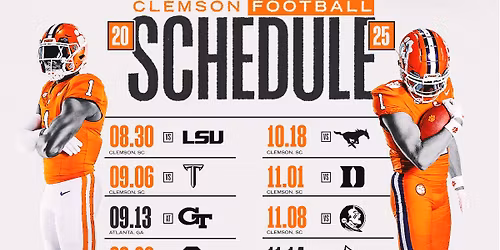 South Carolina Gamecocks vs. Clemson Tigers