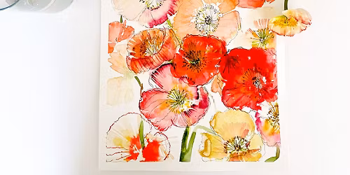 Illustrative Poppies in Watercolor & Graphite with LaCott Fine Art