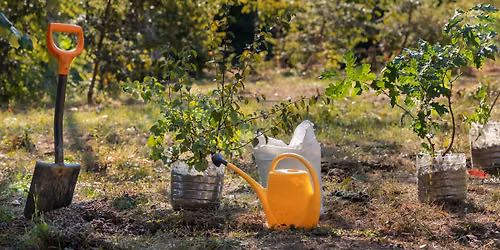 Master Gardeners Present: Fruits for the Garden