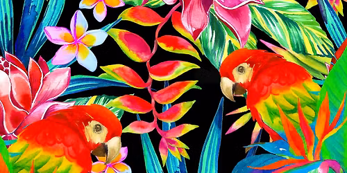 Wishmaker's Ball Tampa