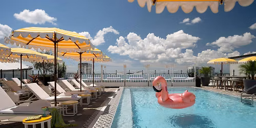 THE PINK PALM POOL CLUB Day Party by the Moxy St Pete and Sparrow Rooftop