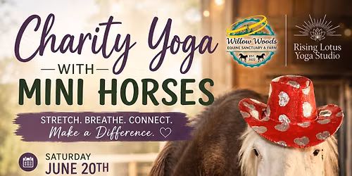 Yoga with mini horses