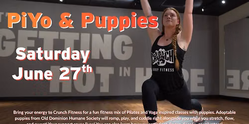 PiYo & Puppies