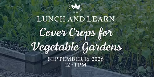 Lunch & Learn: Cover Crops for Vegetable Gardens